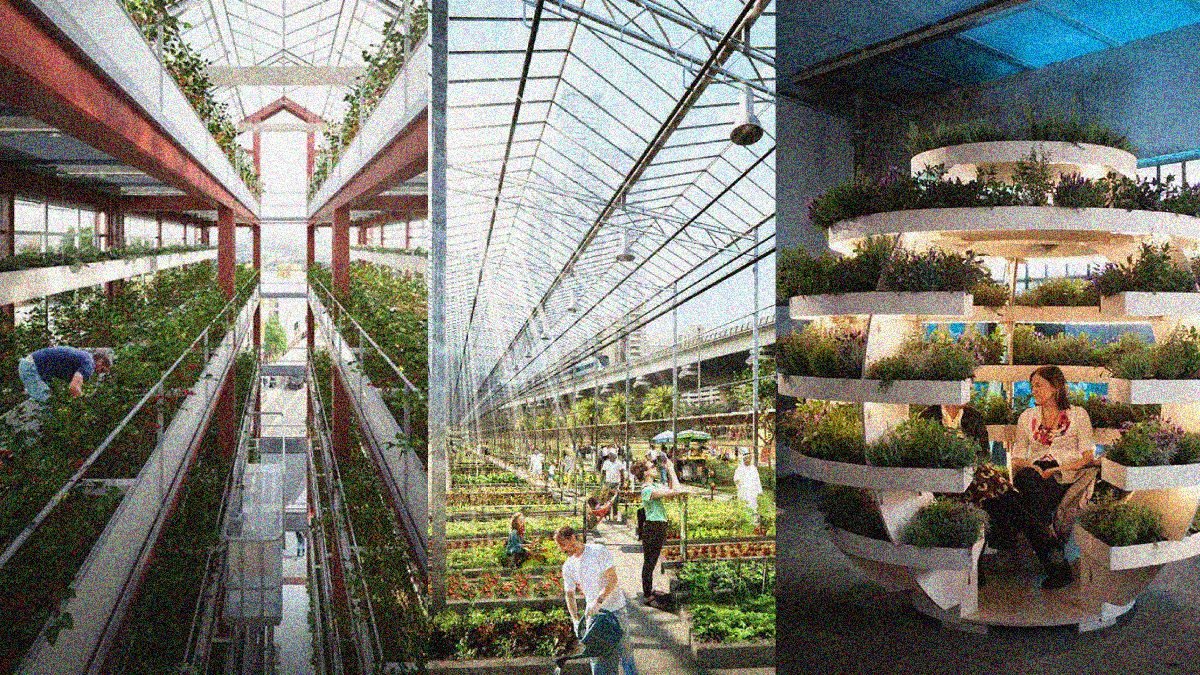 Lurgan Greenhouse: Cultivating a Sustainable Future